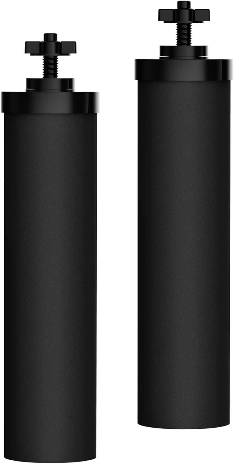 Waterdrop Upgrade NSF/ANSI 372 Certified Water Filter, Silver Ions Added, Replacement for Berkey® BB9-2® Black Filters, Berkey® Gravity Water Filter System and King Tank Series - Image 1